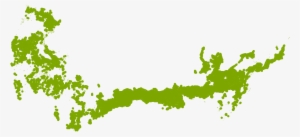 Fire Chief Arborvitae Grows Well In Zone 6a - Pattern #4185015