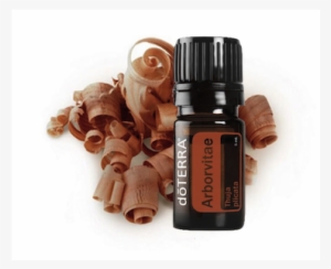 Arborvitae Thuja Plicata - Doterra Breathe Essential Oil 5ml Dt-breathe-5ml #4185019