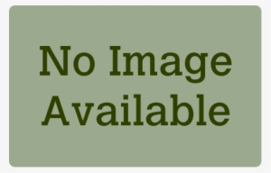 Thuja Occidentalis Nigra, Dark Green Arborvitae - Engage #4185237