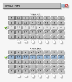 Maestro 3d Ortho Studio Version - Product #4185600