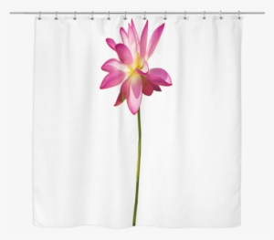 Pink Lotus Flower Curtains - Shower Curtains #4186202