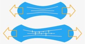 Tear Strength - Thermal Deformation 3d Printing #4186547 Tear Strength - Thermal Deformation 3d Printing #4186547