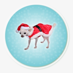 Caso - Santa Claus #4186940