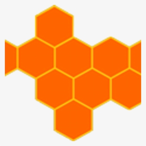 Eval Insight - Turtle Black #4187353