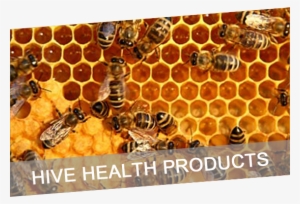 Analysis Of Honey Project #4187426