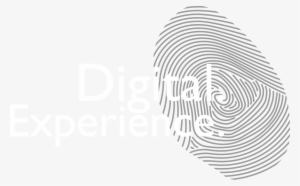 Scroll Down - Experience #4187875