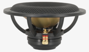 Side 750px - Spiderless Speaker #4188408