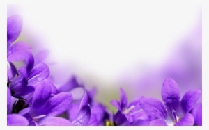 Spring Flower Flower Border Official Psds - Flowers With Love Words #4188664