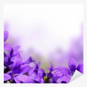 Purple Flower Border #4188750