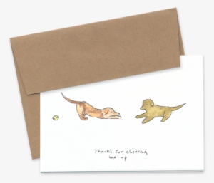 Image - Ferret #4189033
