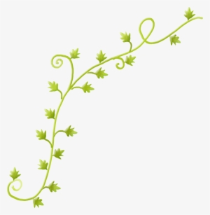 Enredadera Verde Png - Enredadera Png #4190559