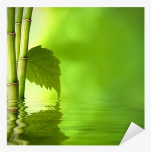 Bambú Con Hoja Verde Frente Al Agua Sticker • Pixers® #4190617