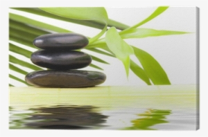 Piedras Negras Con Agua Y Hojas Verdes Canvas Print - Spa #4190675