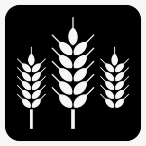 Png File - Laguna Beach Beer Company Logo #4190883