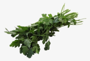 Perejil Crespo 30 G - Parsley #4190916