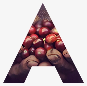 Appreciation Class - Cherry #4191113