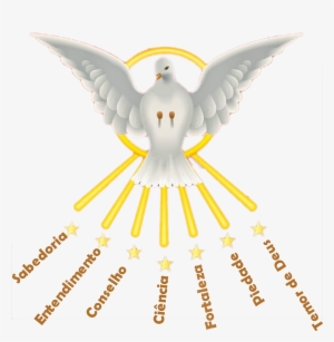 Pomba Da Crisma Png - Pomba Divino Espirito Santo Png #4191264