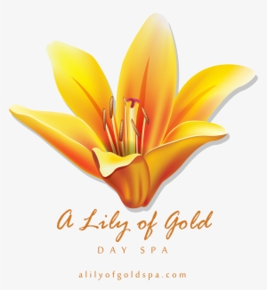 B888e4 D 5600 8000 S 4 2 - Hempz Yuzu & Starfruit Instant Sunless Bronzing #4191623