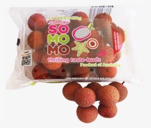 Food Packaging #4191722