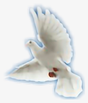 Holy Spirit #4191776