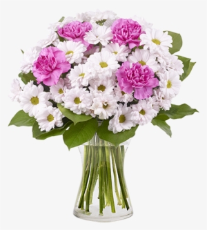 Chrysanthemums & Carnations - Pink #4191888