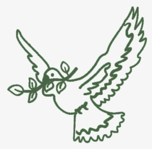 Pomba Do Espirito Santo #4191980