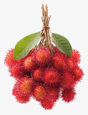 Bunch Of Rambutan - Rambutan Picture Clip Art #4192343