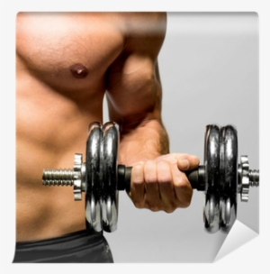 Powerful Muscular Man Lifting Weights Wall Mural • #4192398