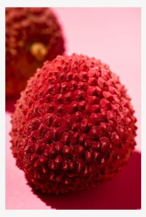 Lychee #4192489