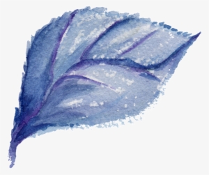 Wave Lychee Leaf Transparent Decorative - Leaf #4192520