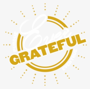 Limited Liability Company #4193725