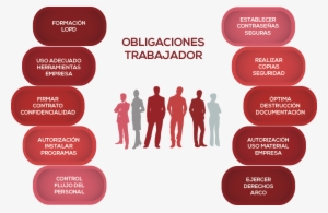 Obligacion Informar A Trabajadores - Derechos Y Obligaciones De Los Trabajadores #4194521