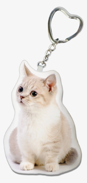 Munchkin Cat Key-chain - Munchkin Cat #4195624