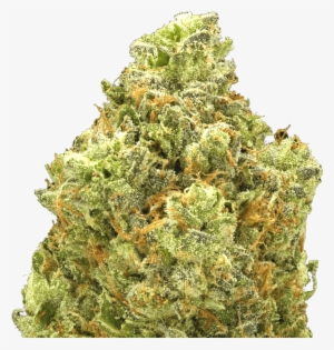 Types Of Weed #4195692