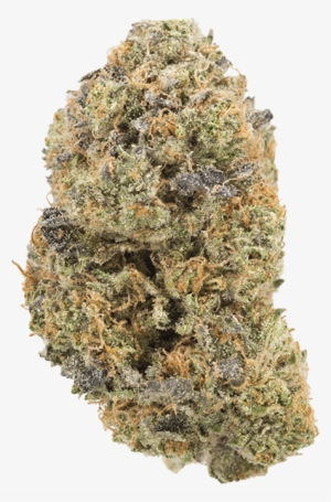 Cherry Kush - Mega Glue Strain #4195737