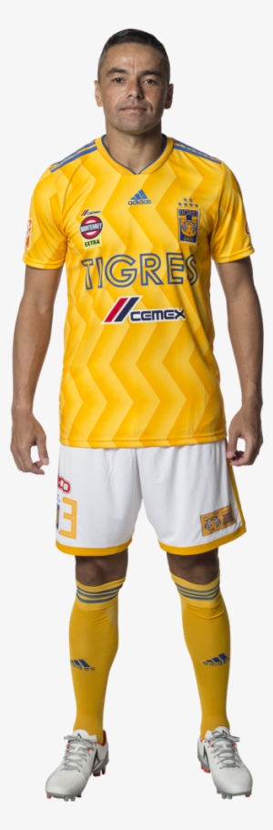 Anselmo Vendrechovsky 'juninho' - Eduardo Vargas Wallpaper 18 Tigres #4195764