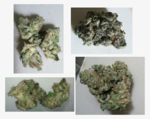 Banana Kush Is One Of Those Strains That Always Leaves - Muthia #4196086