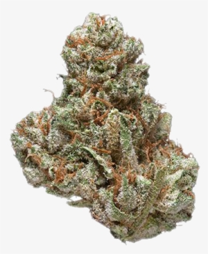 Cotton Candy Kush - Kush #4196391