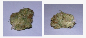 From The One Of The Oldest And Most Respected Dispensaries - Igneous Rock #4196801