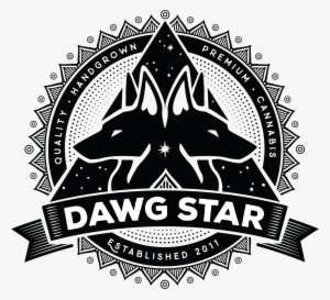 Seattle's First Licensed And Permitted Grow Facility - Thc Of Olympia - Marijuana, Oil, And Edibles #4196872