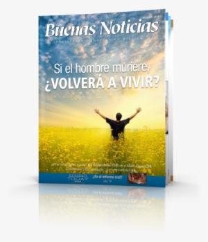 Hoppla, Jetzt Komme Ich #4197868