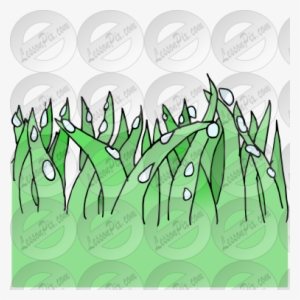 Dew Clipart Grass Drawing - Drawing #4197980