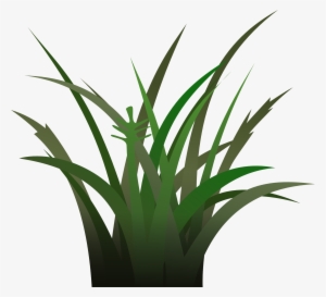 Drawing Of Green Grass - Vegetation Clipart #4198298