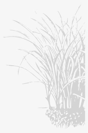 Holistic Management Decision Making Your Land Management - Sketch #4198343