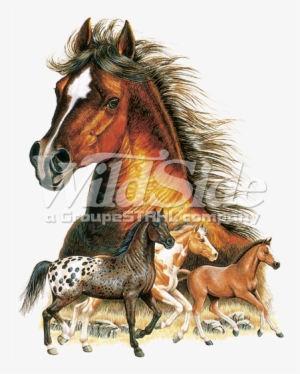 Large Horse Head 3 Horses - Imagenes De Caballos En Gif #420280