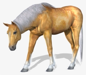 Horse Png Image - Suku Kata Dan Perkataan #420351