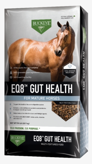 Eq8™ Gut Health Multi-textured Feed - John A. Van Den Bosch Co. #420375