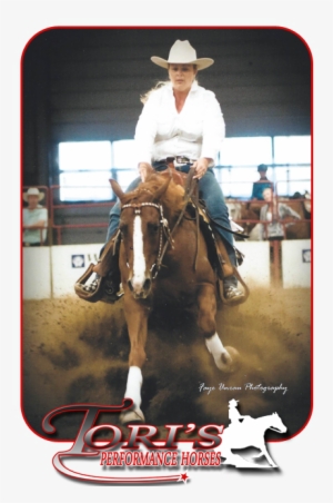 Torihome6 - Horse #420400