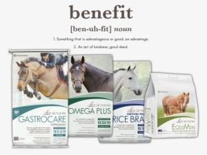 Legends Feed Bags - Legends Rice Bran Fortified Pelleted Horse Supplement #420614
