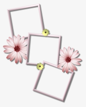 Collage Frame Png Picture - Multiple Photo Frame Png #421635